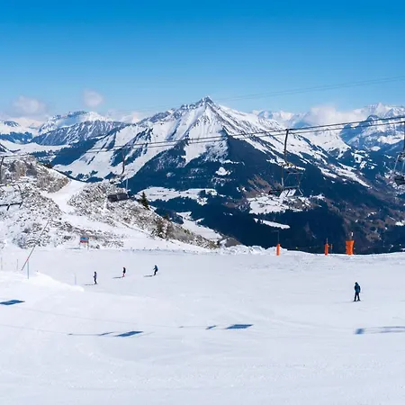 ホテル Relais Alpin 3*