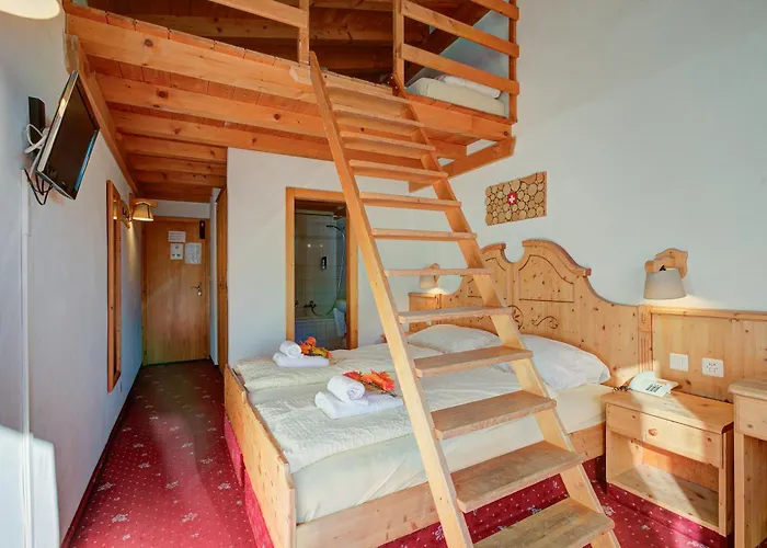 Relais Alpin ホテル 3*