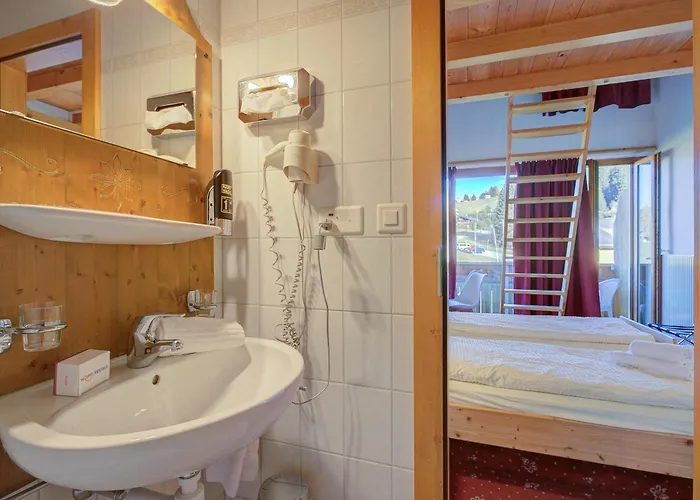 ホテル Relais Alpin 3*