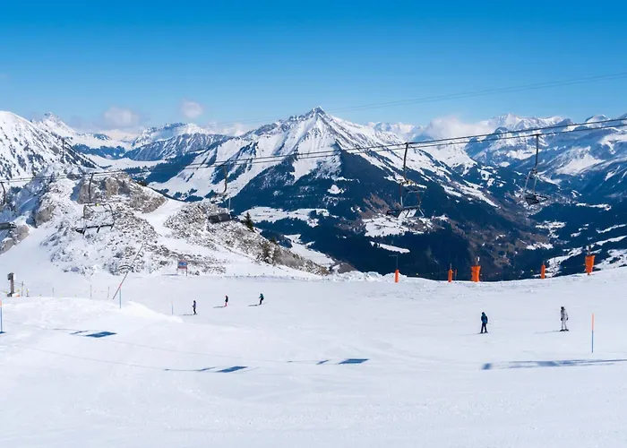 ホテル Relais Alpin 3*