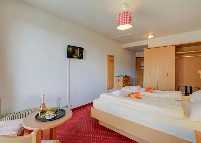 Relais Alpin 3* Les Mosses